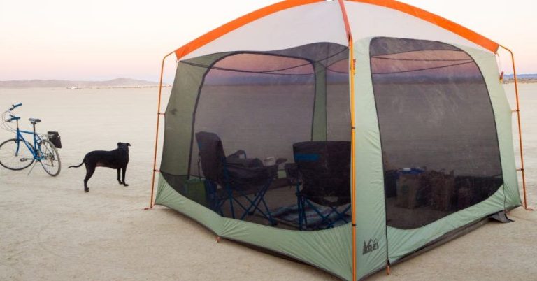 La meilleure tente à baldaquin pour le camping et les pique-niques