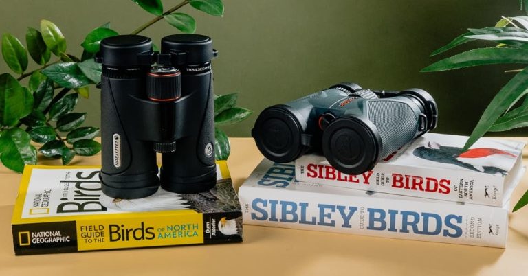Les 4 meilleures jumelles pour les oiseaux, la nature et l'extérieur en 2024 | Avis sur les coupe-fils