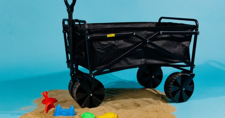 Les 2 meilleurs chariots pliants et pliants de 2024 | Évaluations par Wirecutter